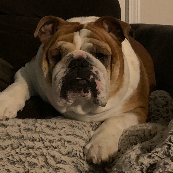 Meet your Posher, Megan - Picture 3 of 5